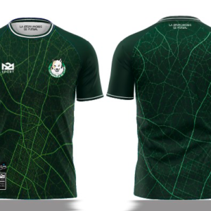 TEE SHIRT D'ENTRAÎNEMENT VERT